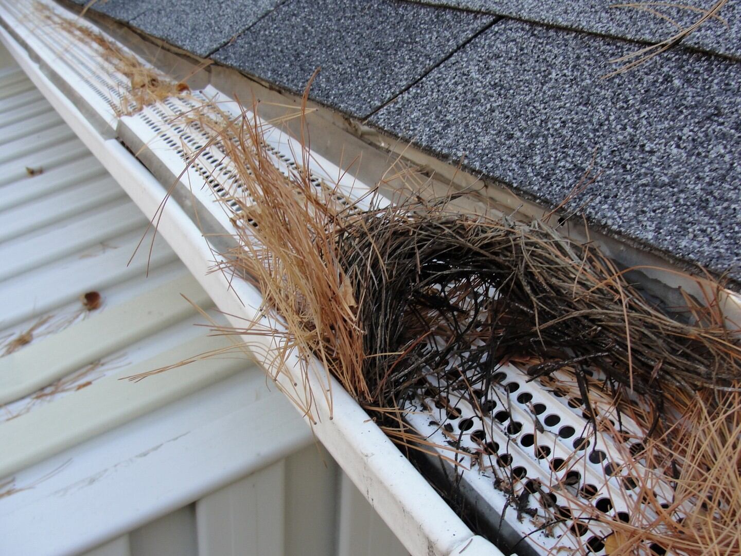 How To Prevent Leaves In Gutters