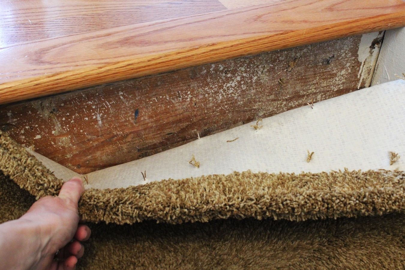 How To Redo Stairs That Had Carpet