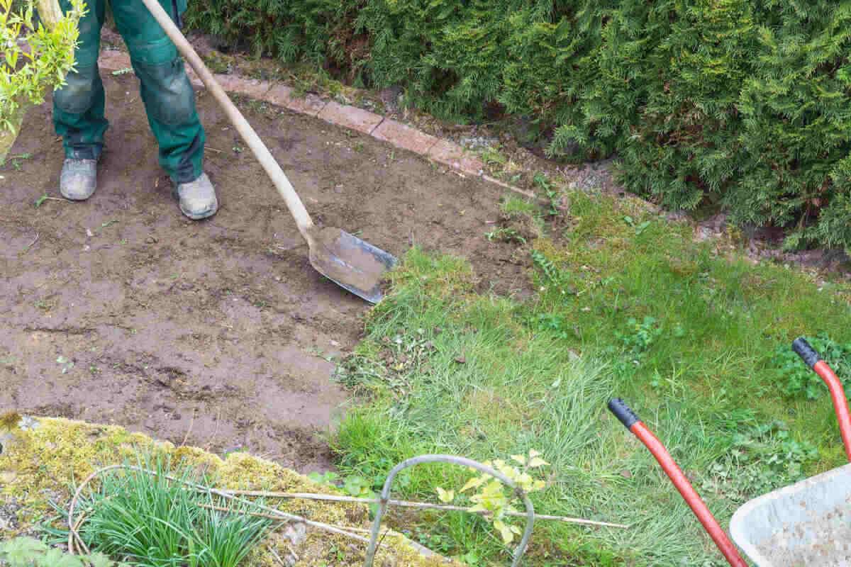 How To Remove Grass Around Flower Beds And Trees With Hand Tools