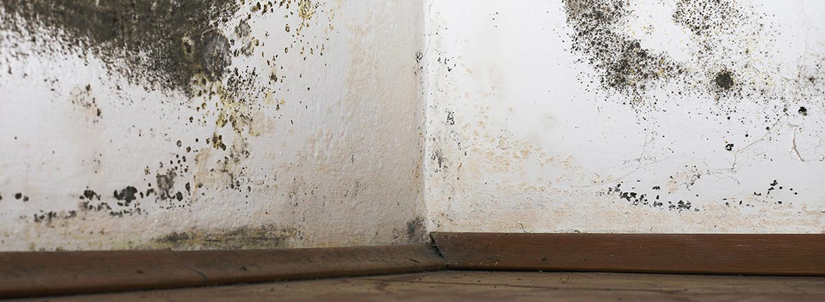 How To Stop Condensation On Interior Walls