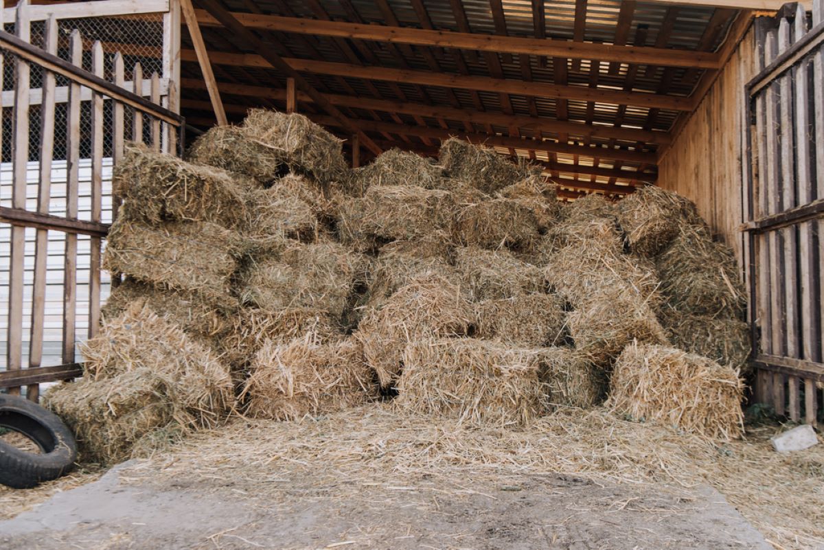 How To Store A Bale Of Hay