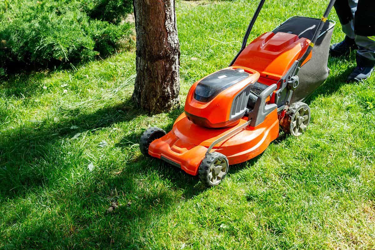How To Store A Lawn Mower Outside Without A Shed