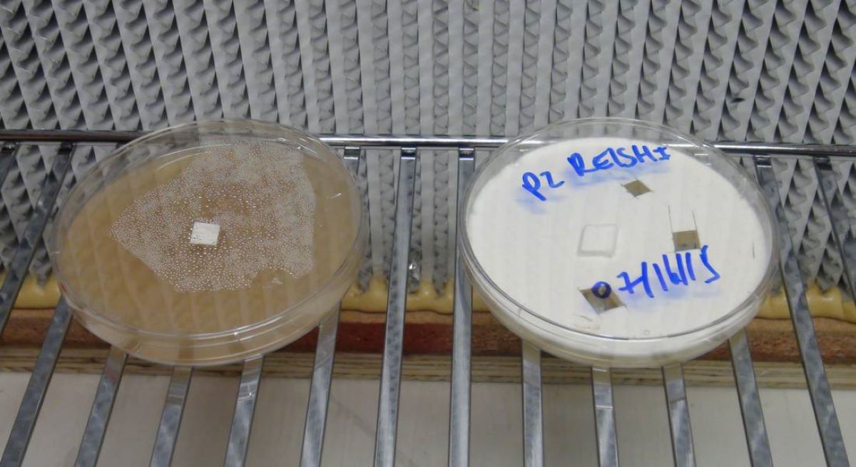 How To Store Agar
