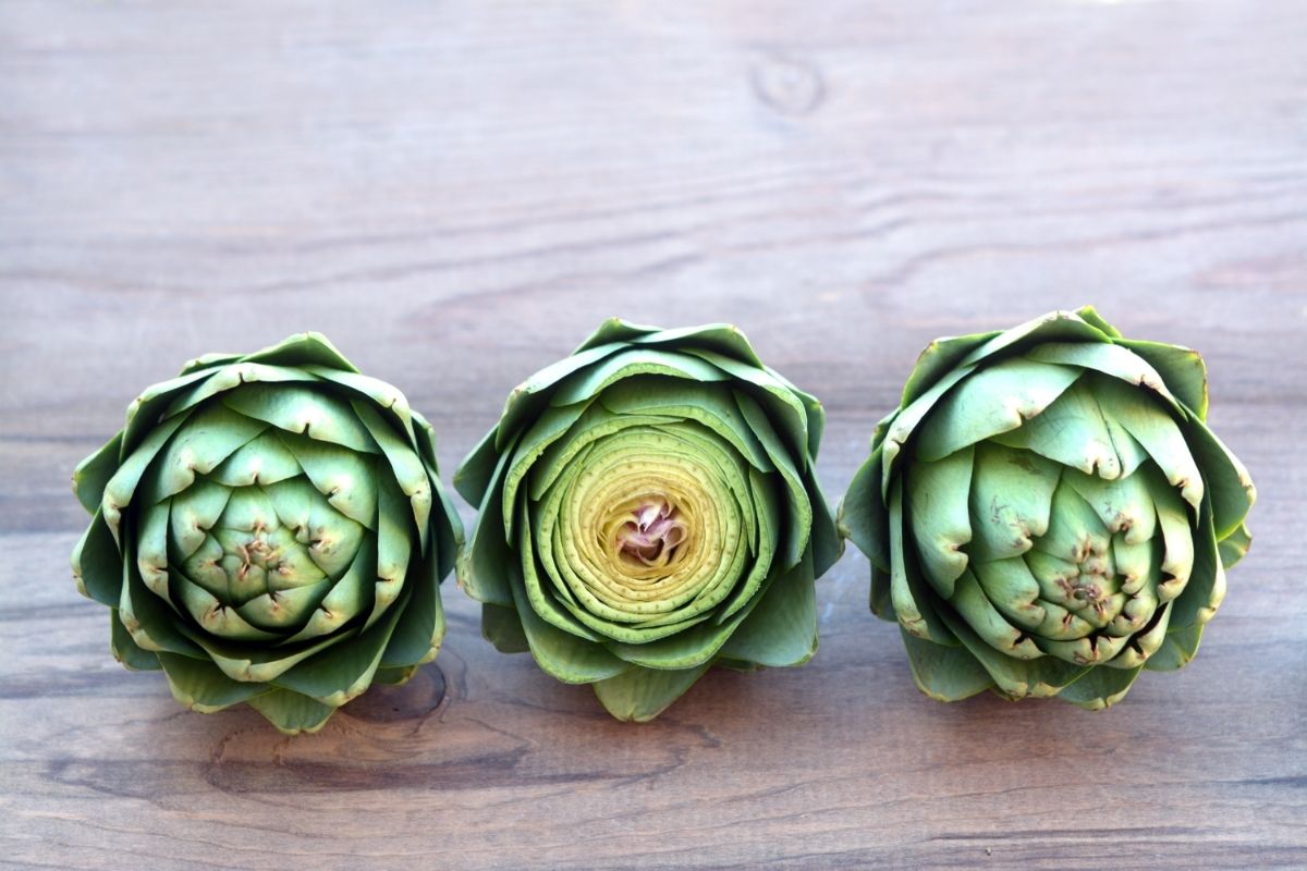 How To Store Artichoke Storables