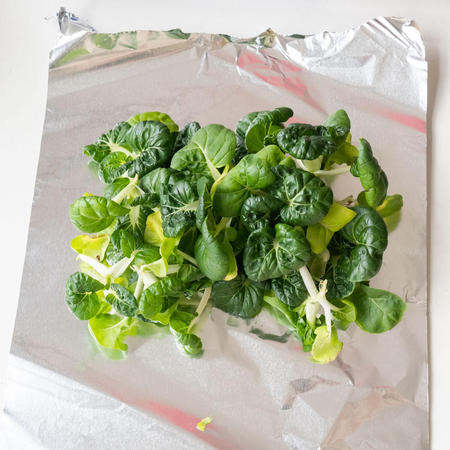 How To Store Baby Bok Choy