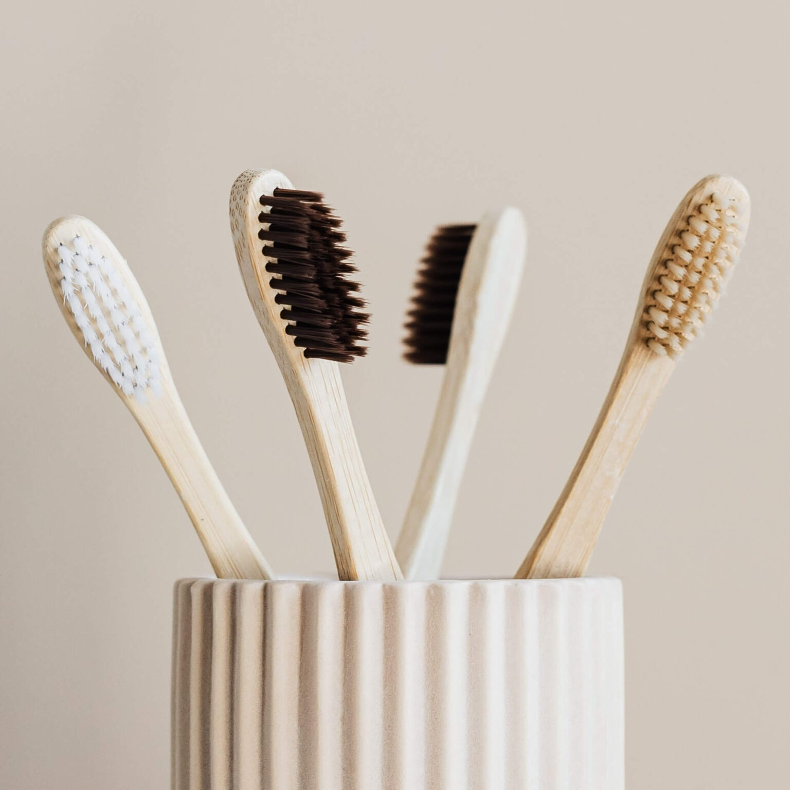How To Store Bamboo Toothbrush