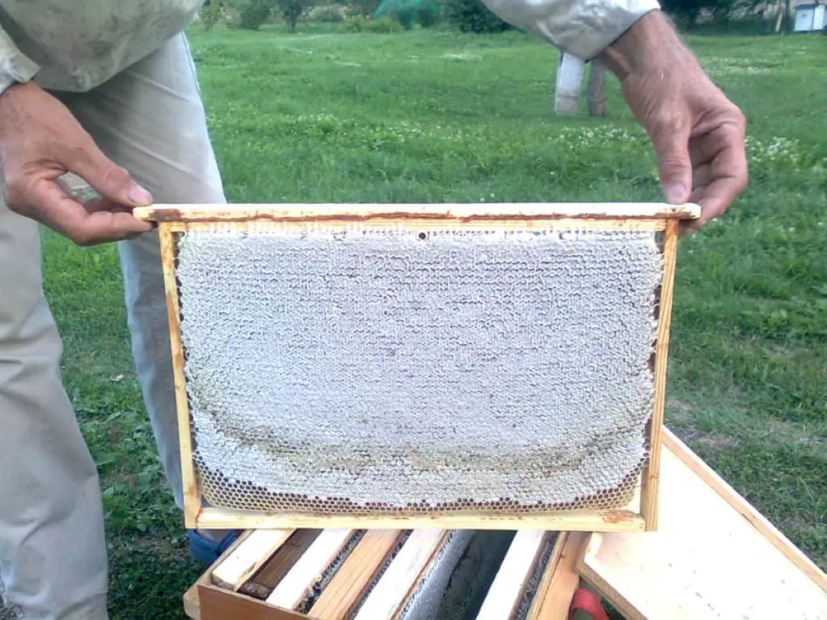 How To Store Bee Frames