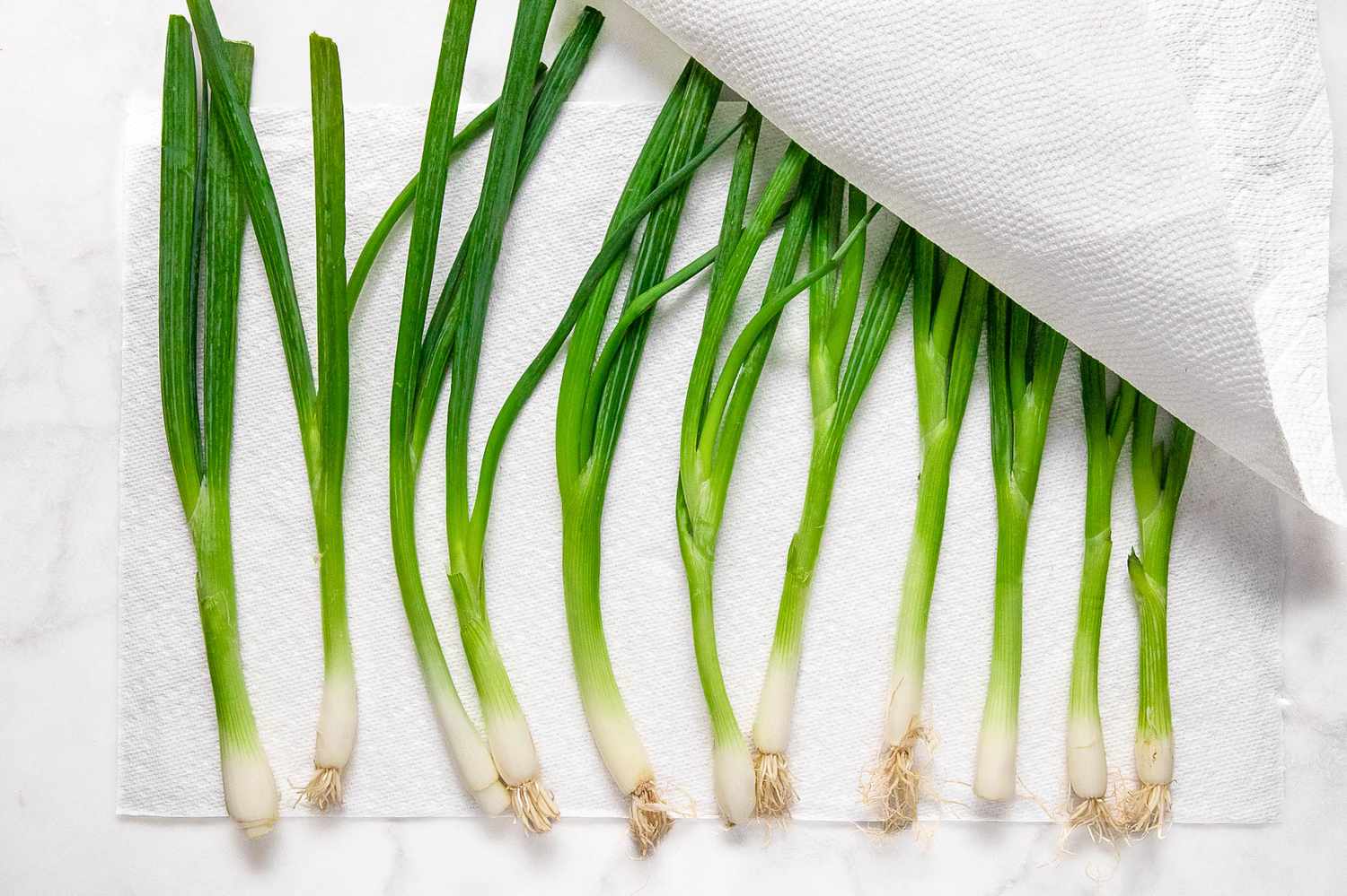 How To Store Bunching Onions