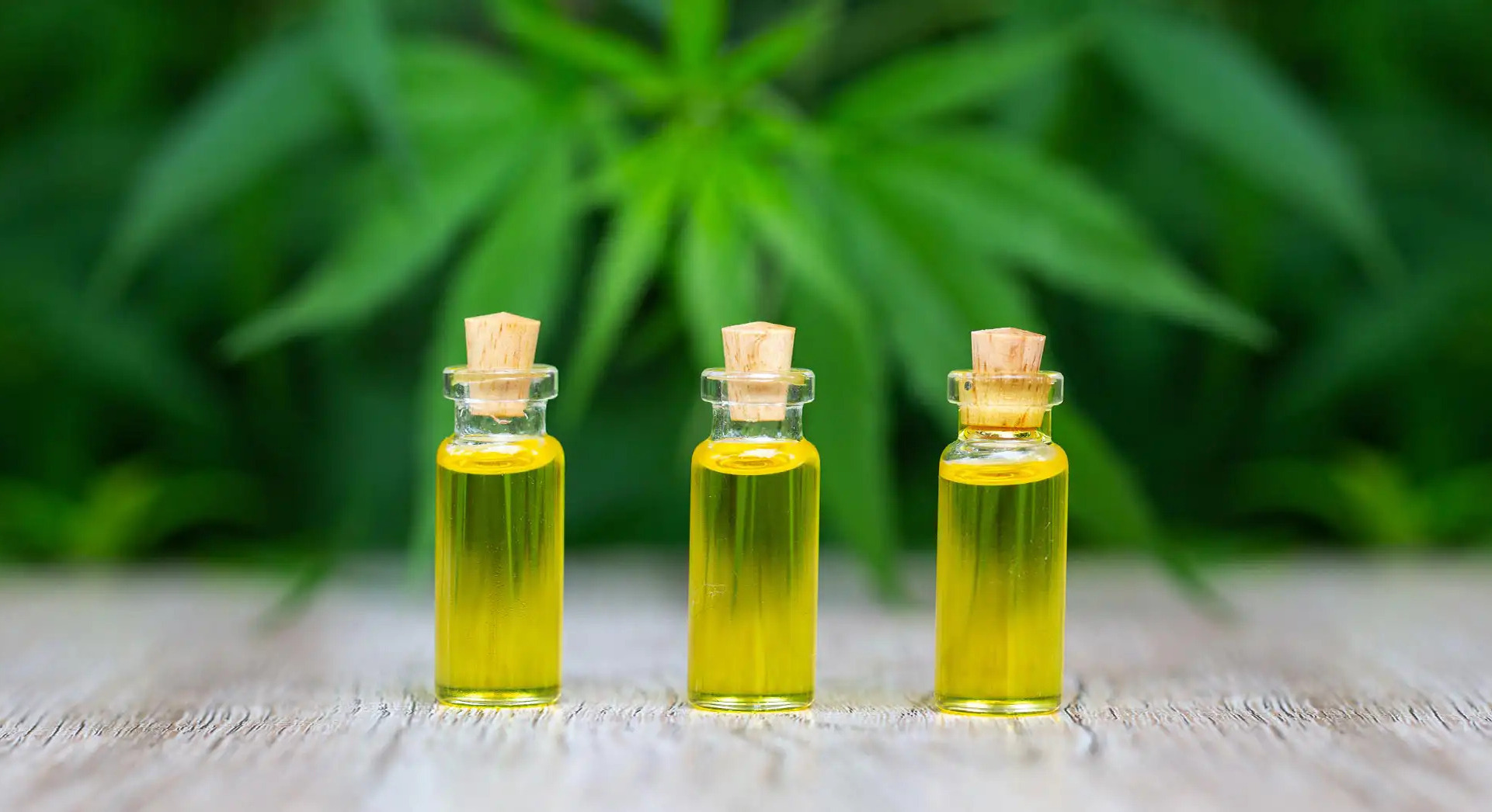 How To Store Cannaoil