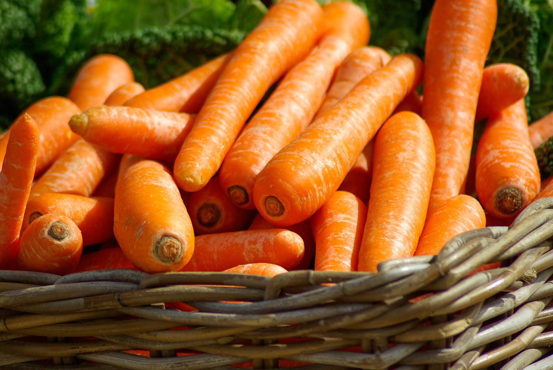 How To Store Carrots Over Winter