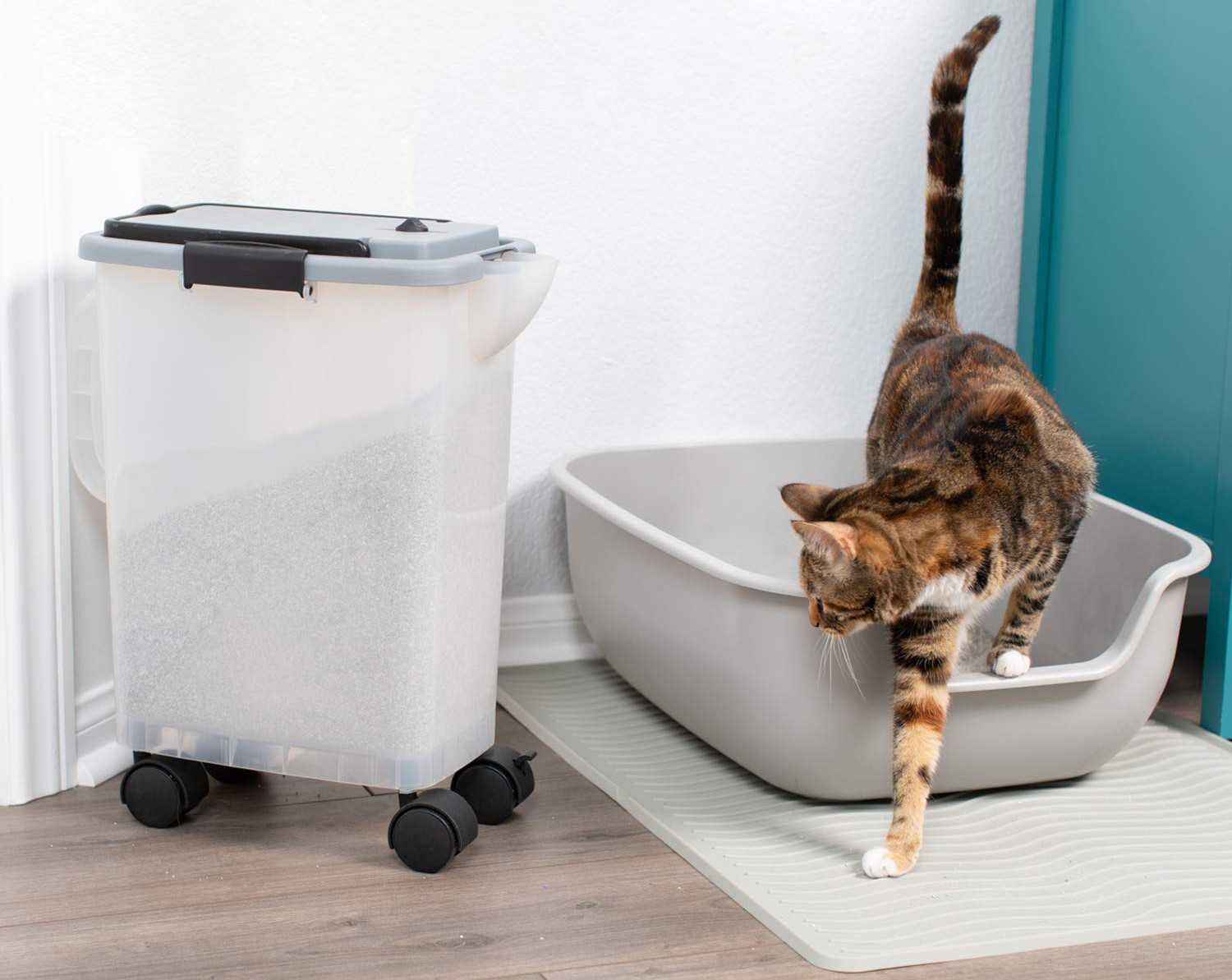 How To Store Cat Litter