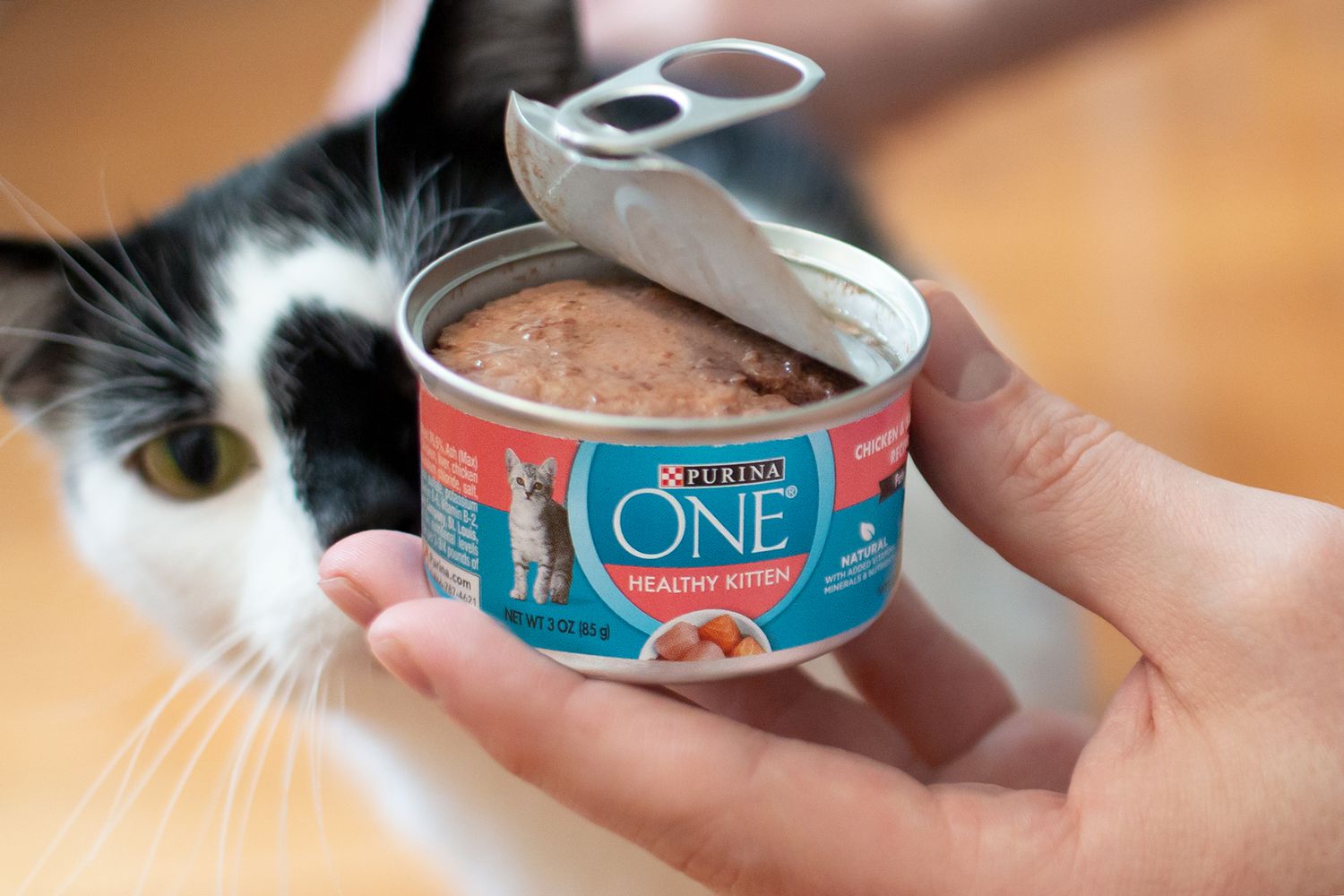 How To Store Cat Wet Food