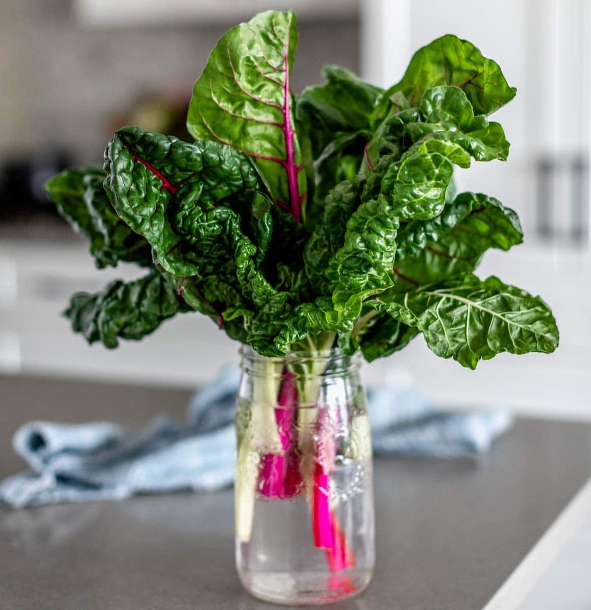 How To Store Chard