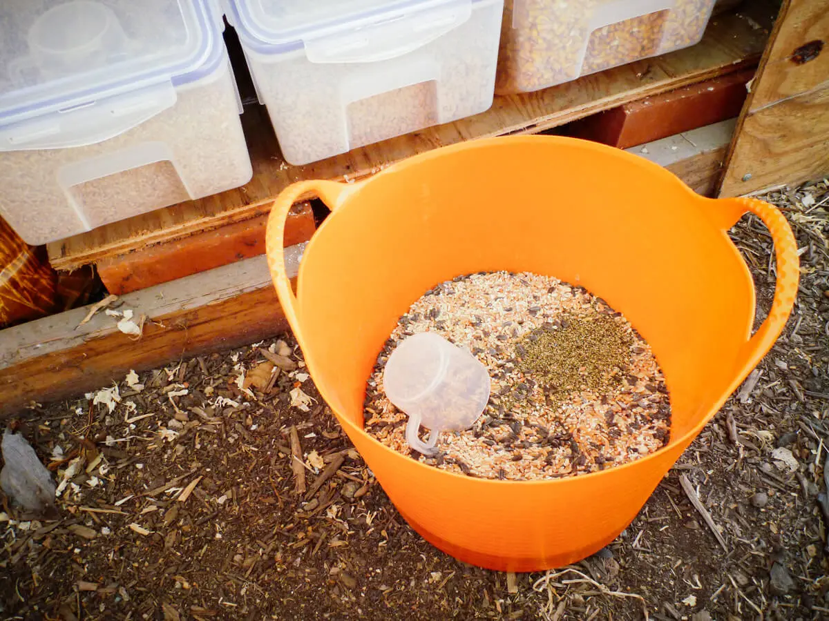 How To Store Chicken Feed