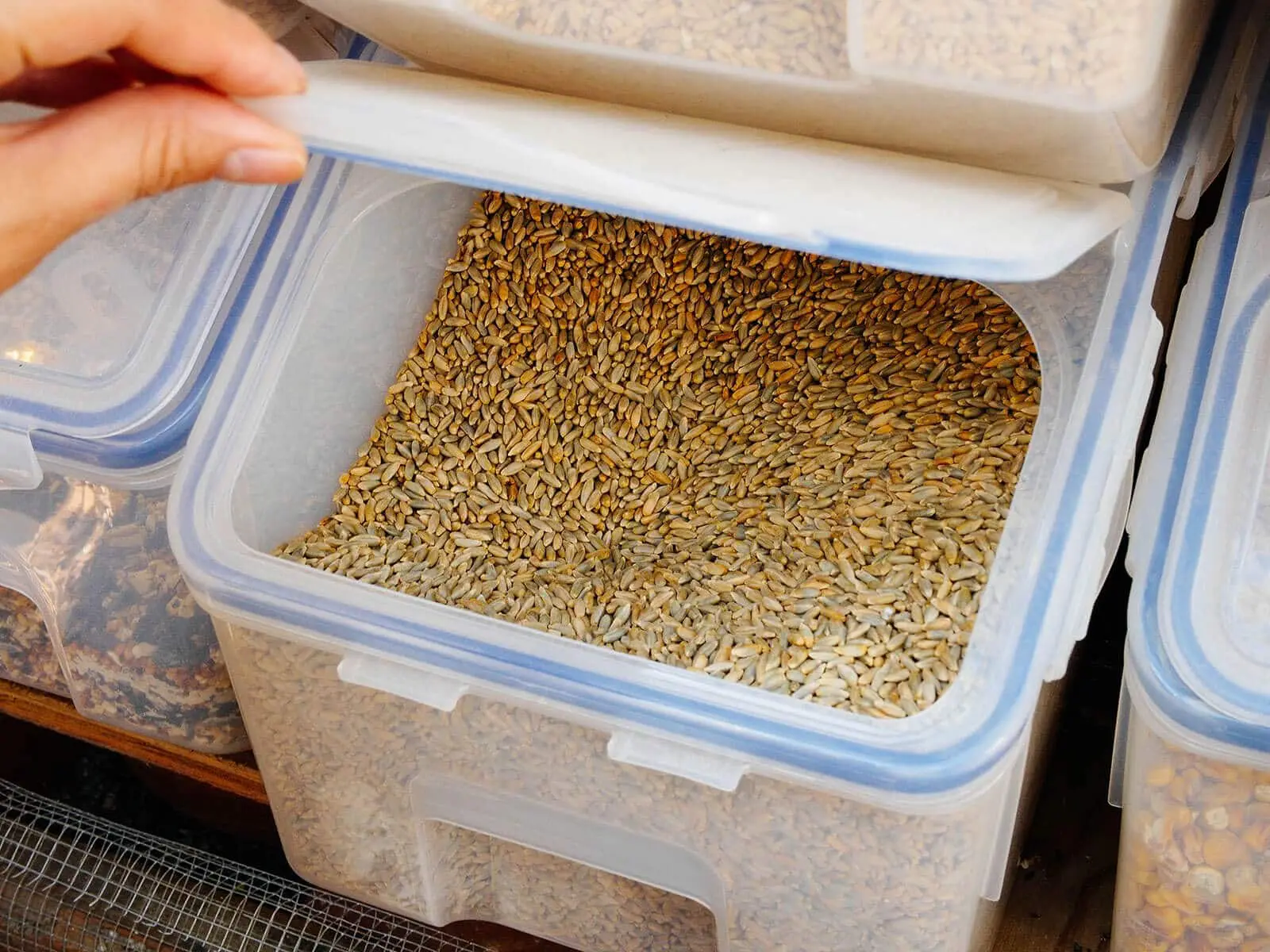 How To Store Chicken Feed Outside
