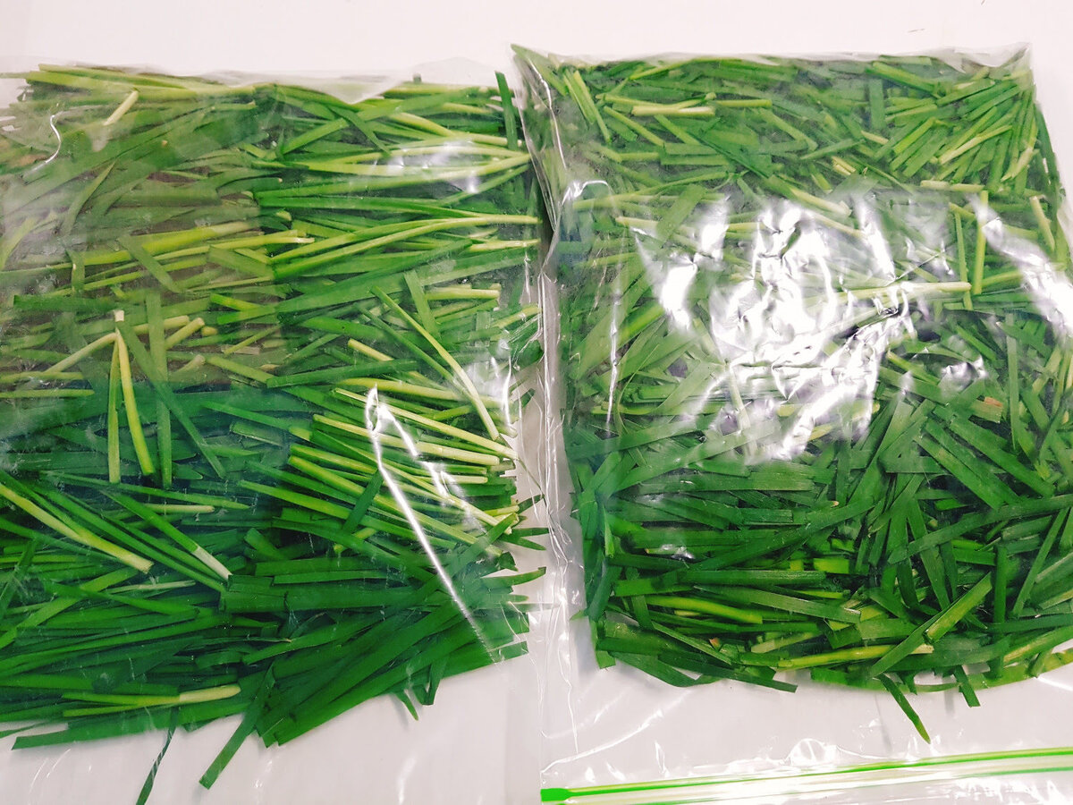 How To Store Chives Long Term