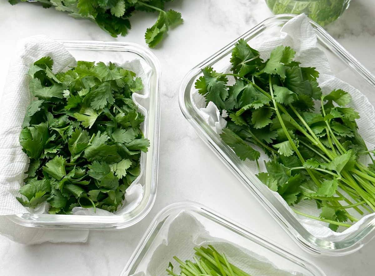 How To Store Cilantro At Home