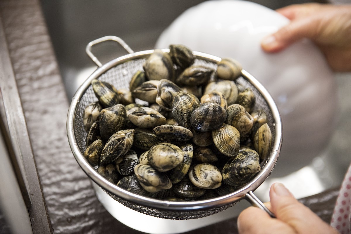 How To Store Clams In Freezer