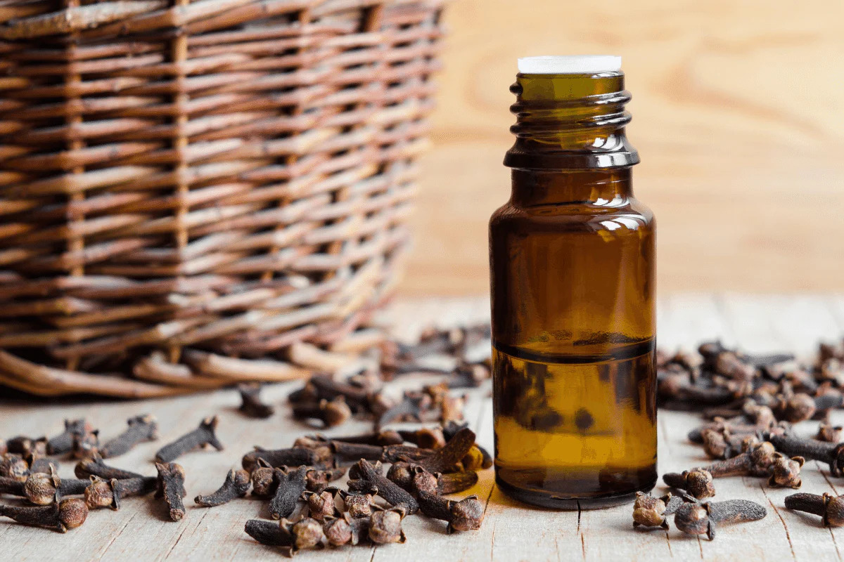 How To Store Clove Water For Hair
