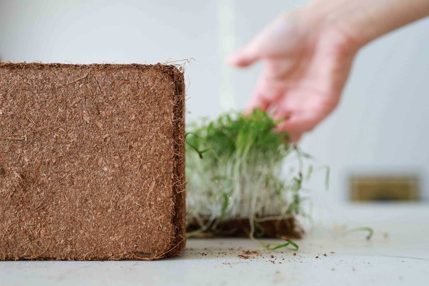 How To Store Coco Coir