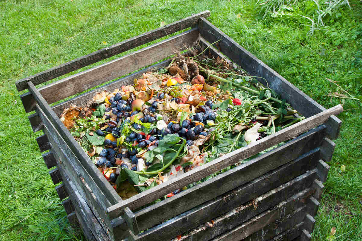 How To Store Compost Outside
