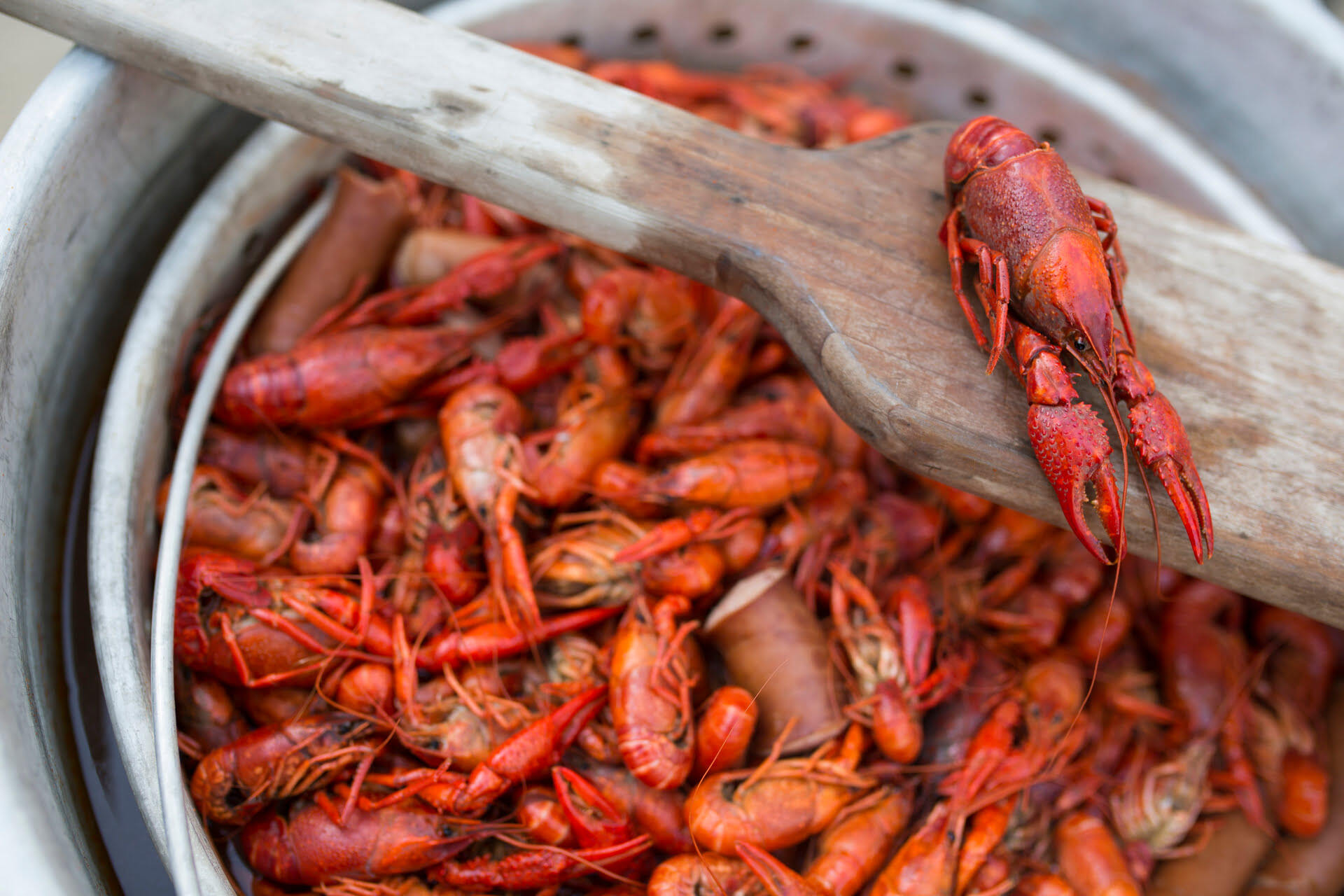How To Store Cooked Crawfish