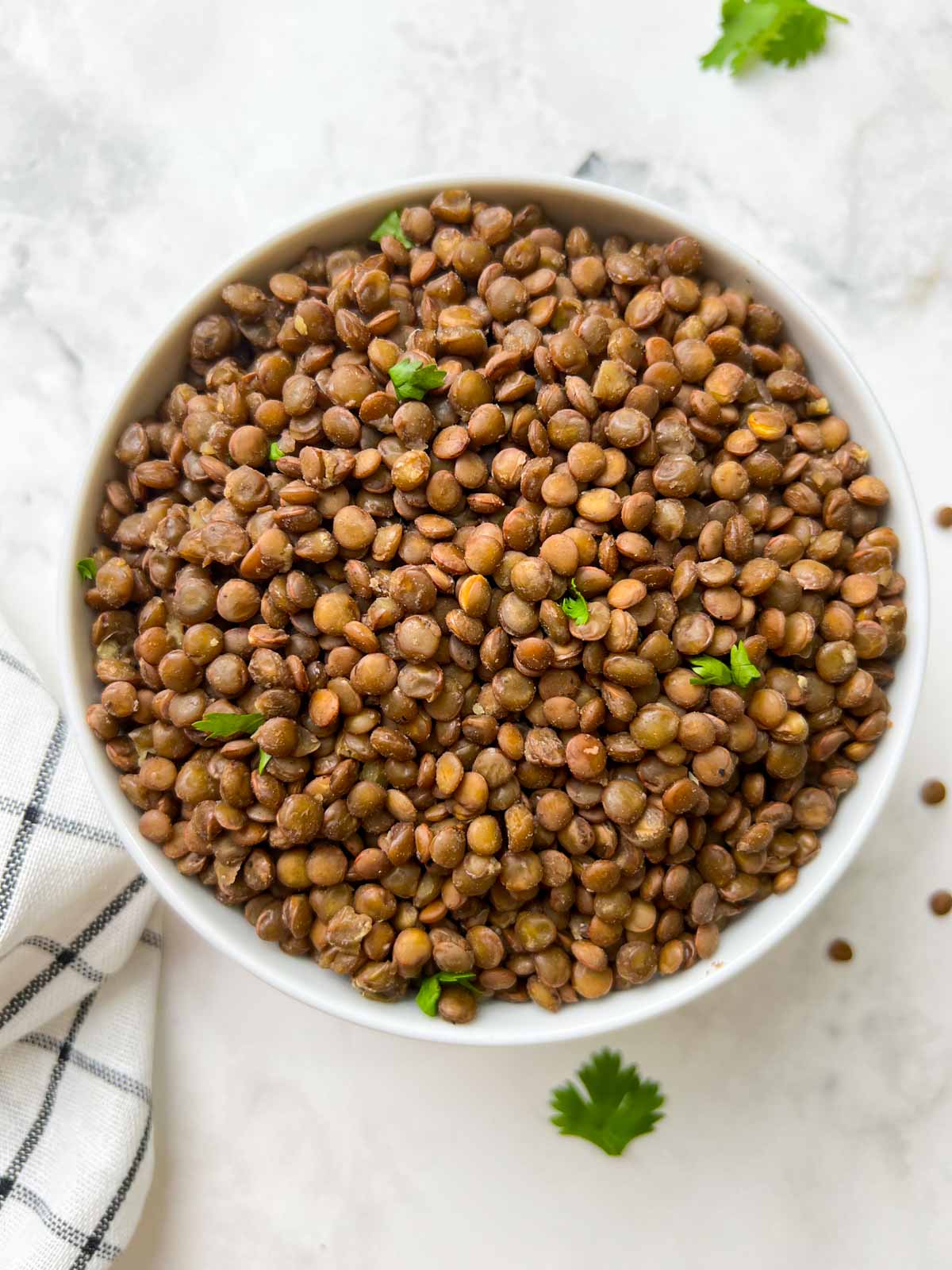 How To Store Cooked Lentils