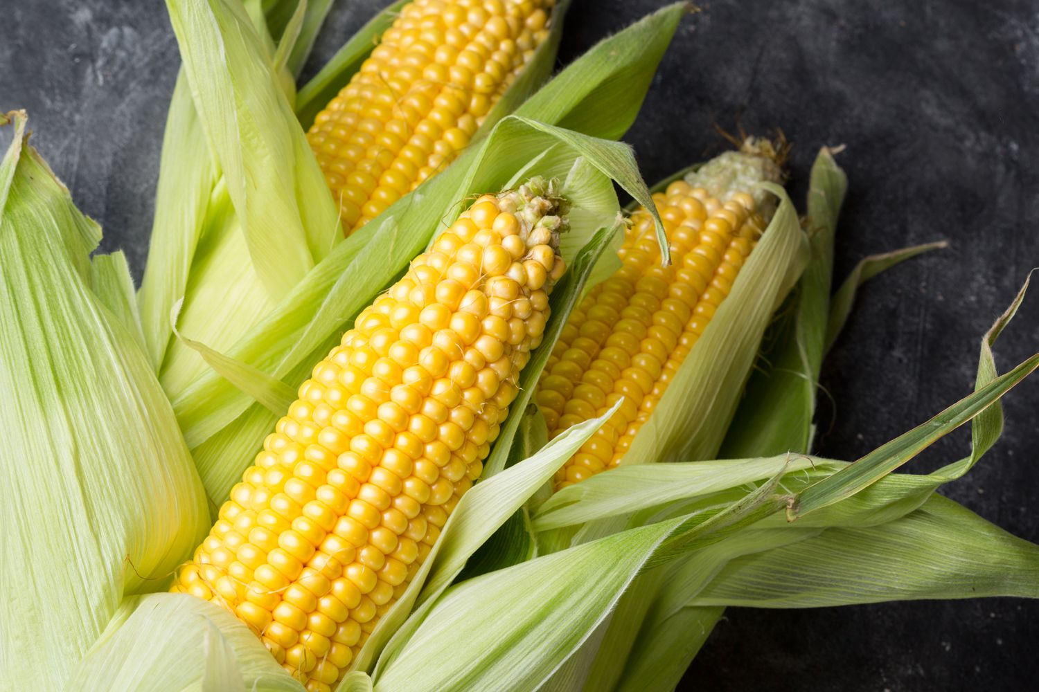 How To Store Corn After Harvest