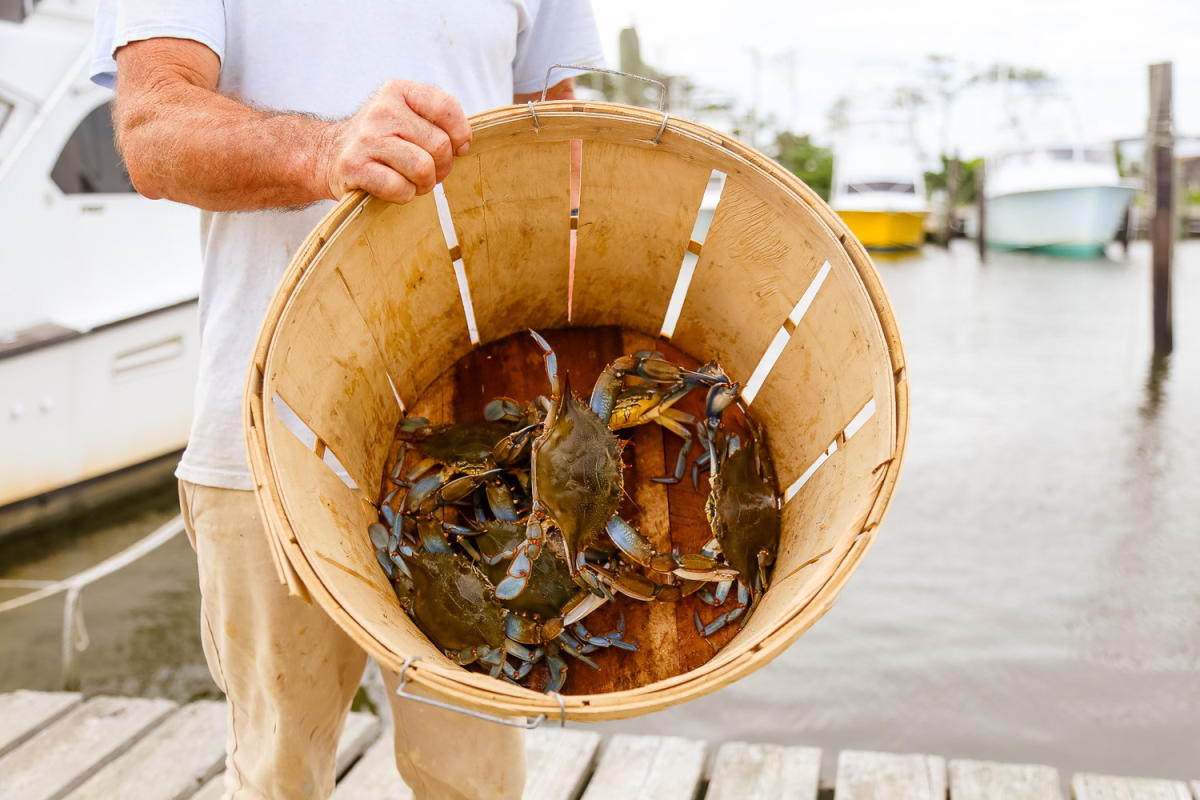 How To Store Crab After Catching