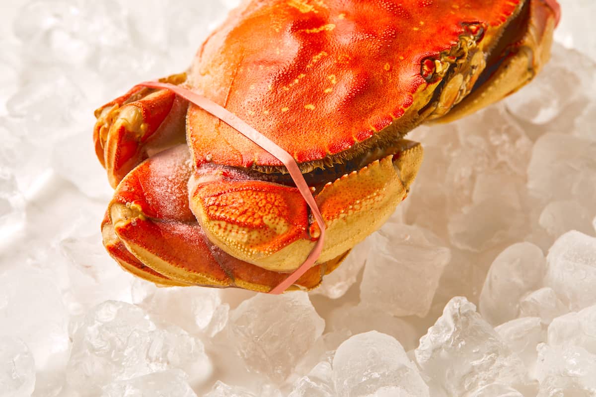 How To Store Crabs In Freezer