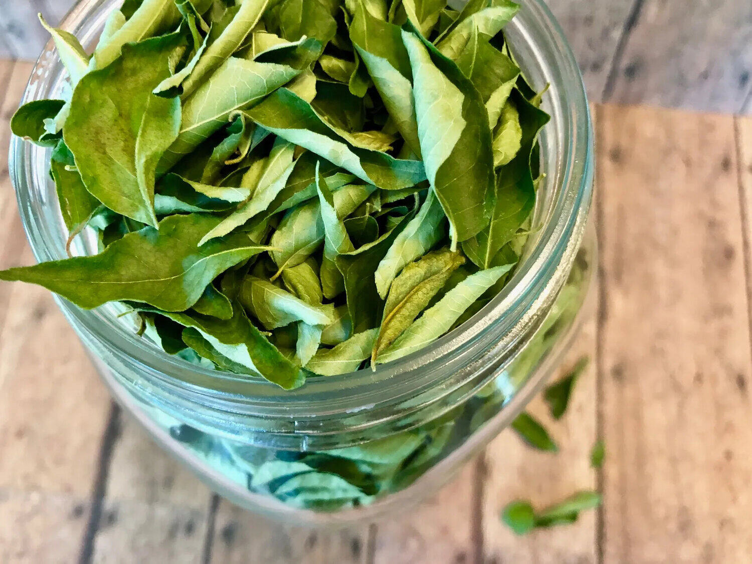 How To Store Curry Leaves For Long Time
