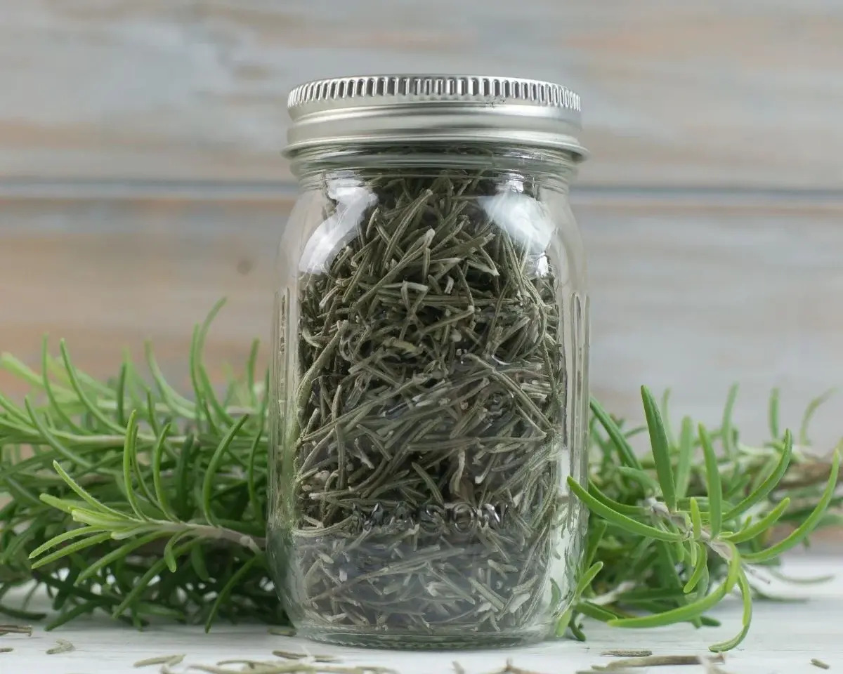 How To Store Cut Rosemary