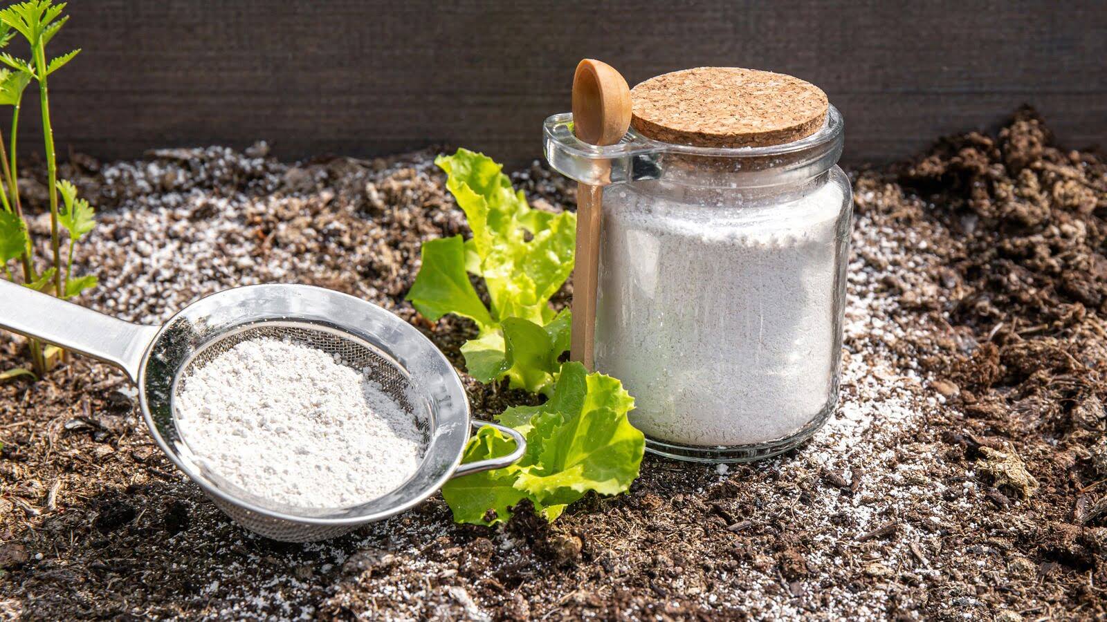 How To Store Diatomaceous Earth