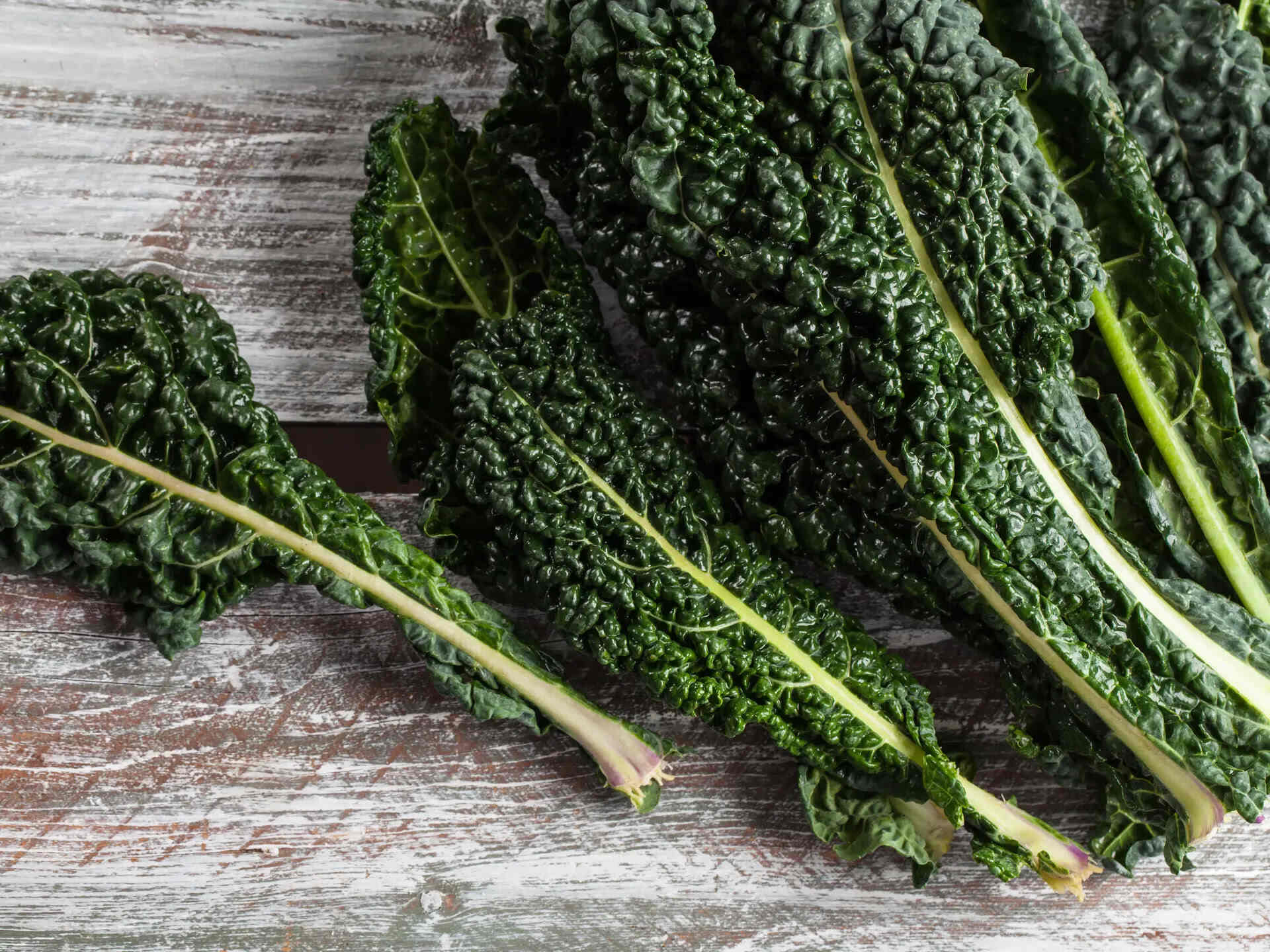 How To Store Dino Kale
