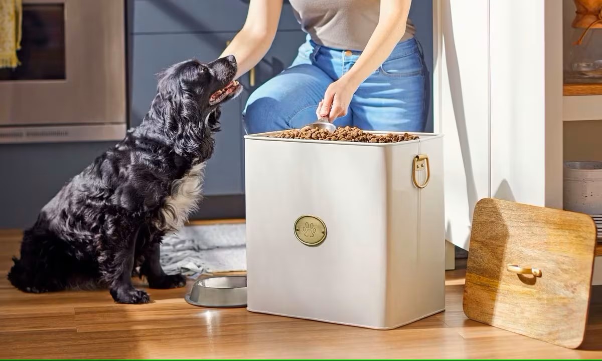 How To Store Dog Food Long Term
