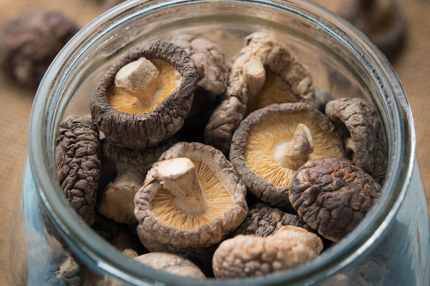How To Store Dried Mushrooms Long Term