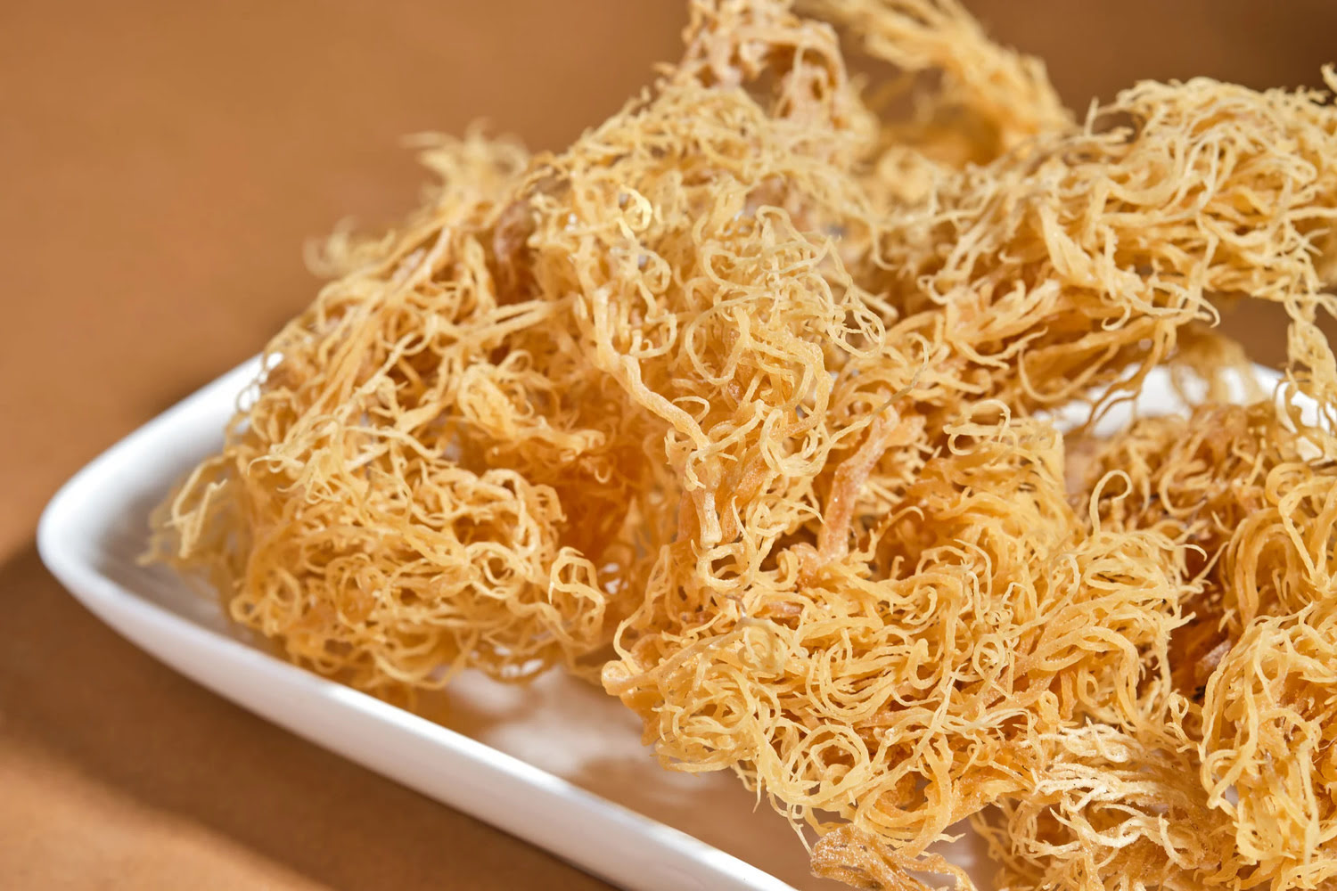 How To Store Dry Sea Moss
