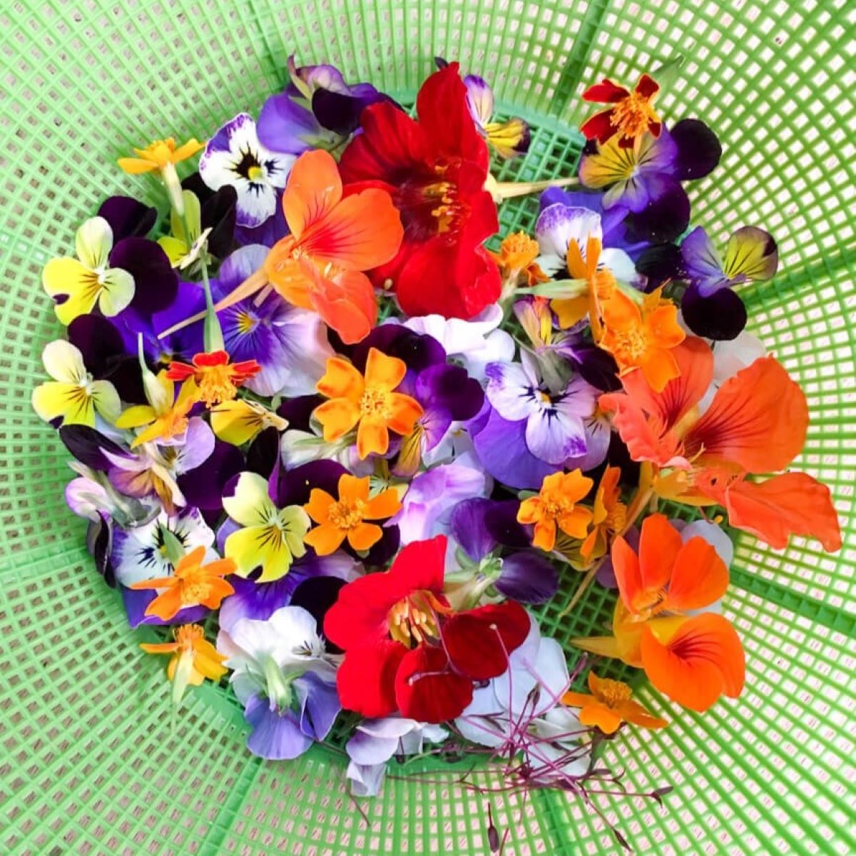 How To Store Edible Flowers