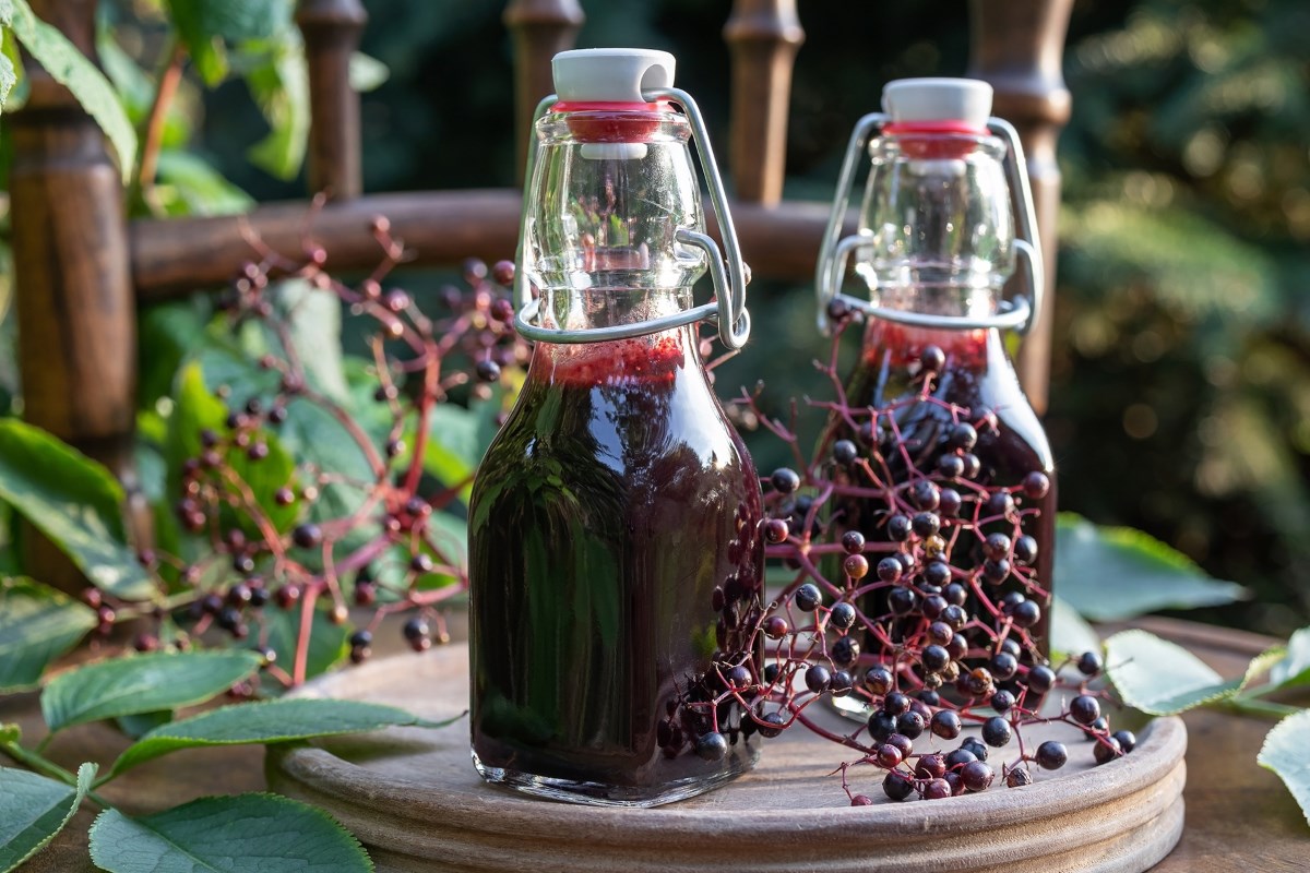 How To Store Elderberry Syrup