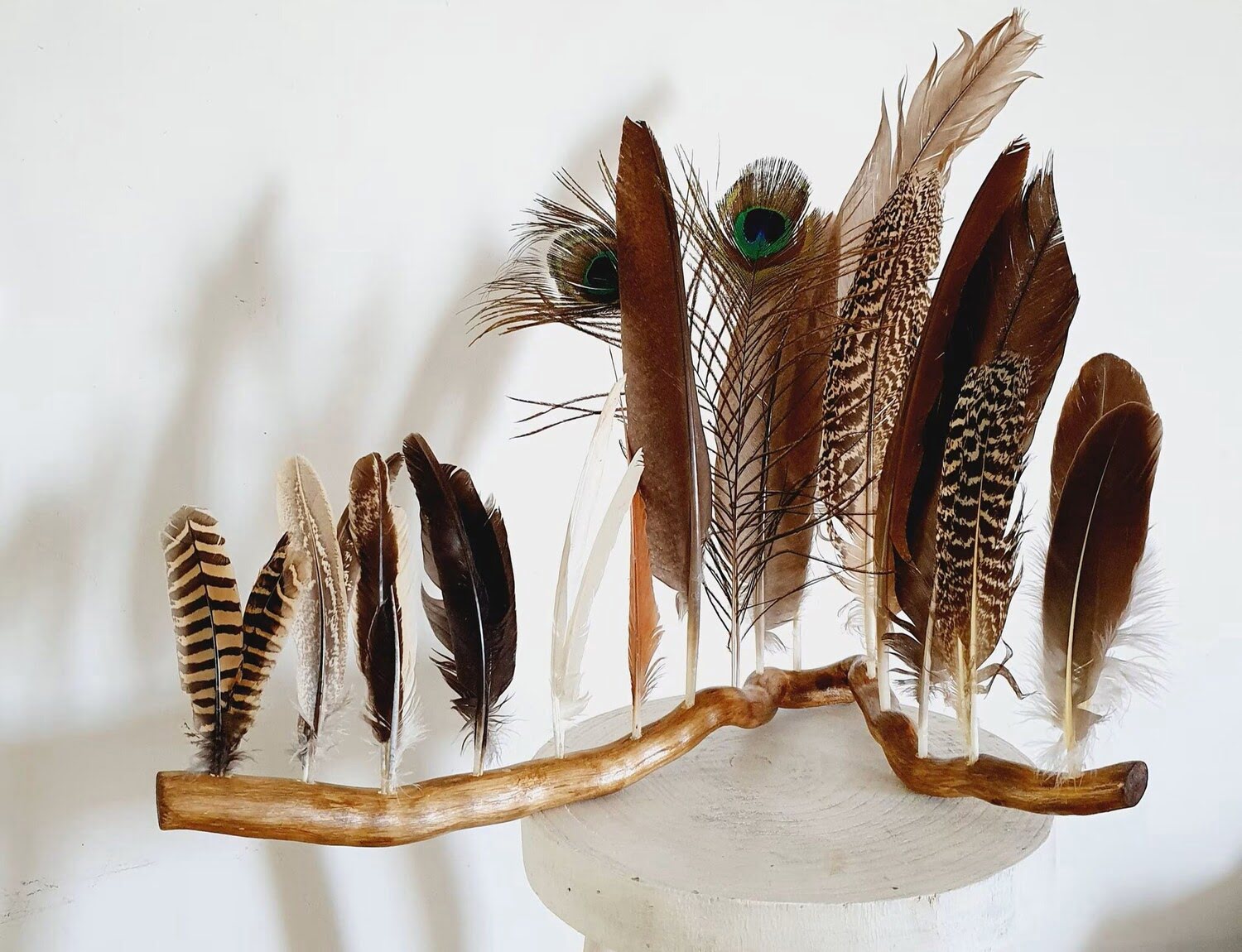 How To Store Feathers