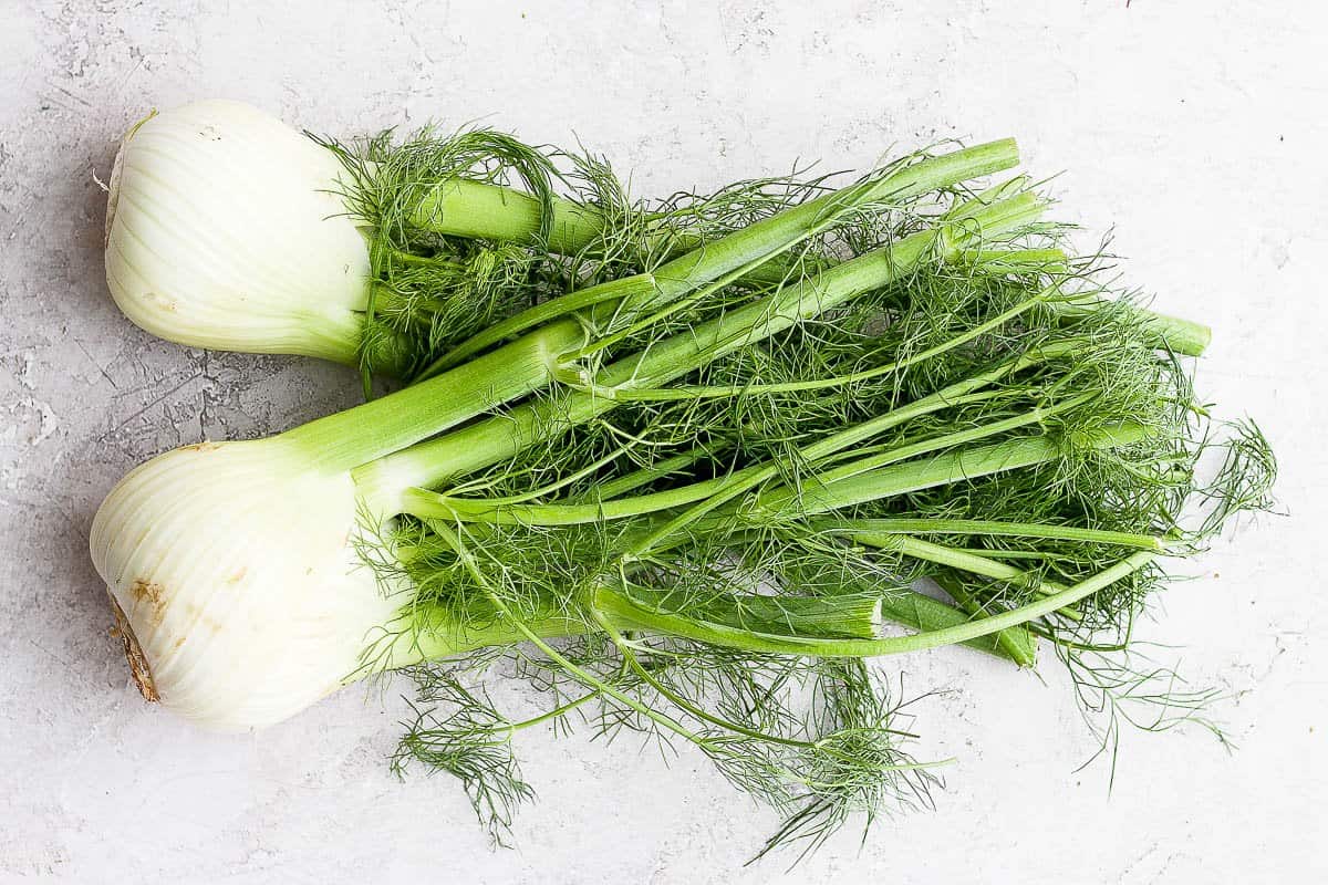 How To Store Fennel Fronds