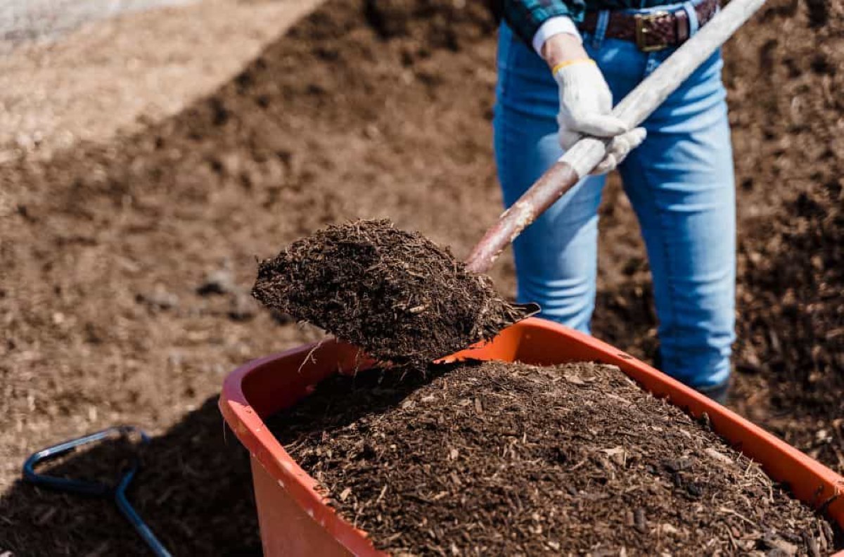 How To Store Finished Compost