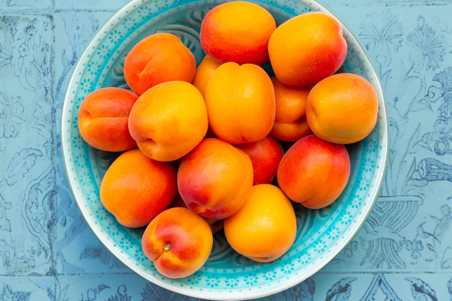 How To Store Fresh Apricots