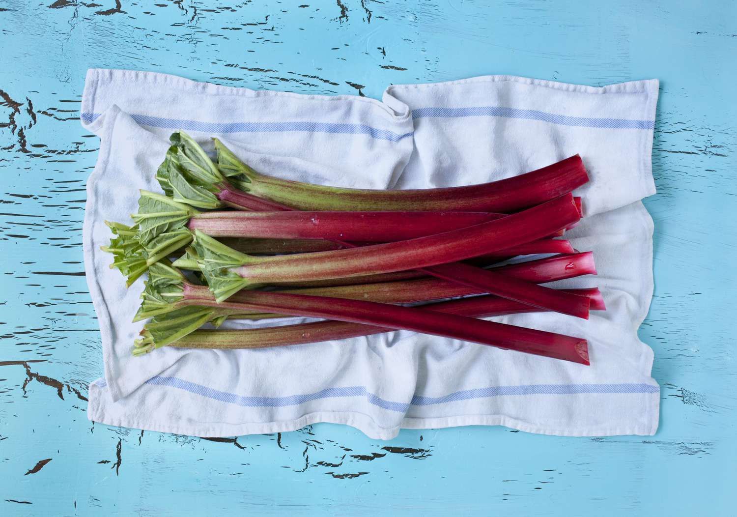 How To Store Fresh Cut Rhubarb