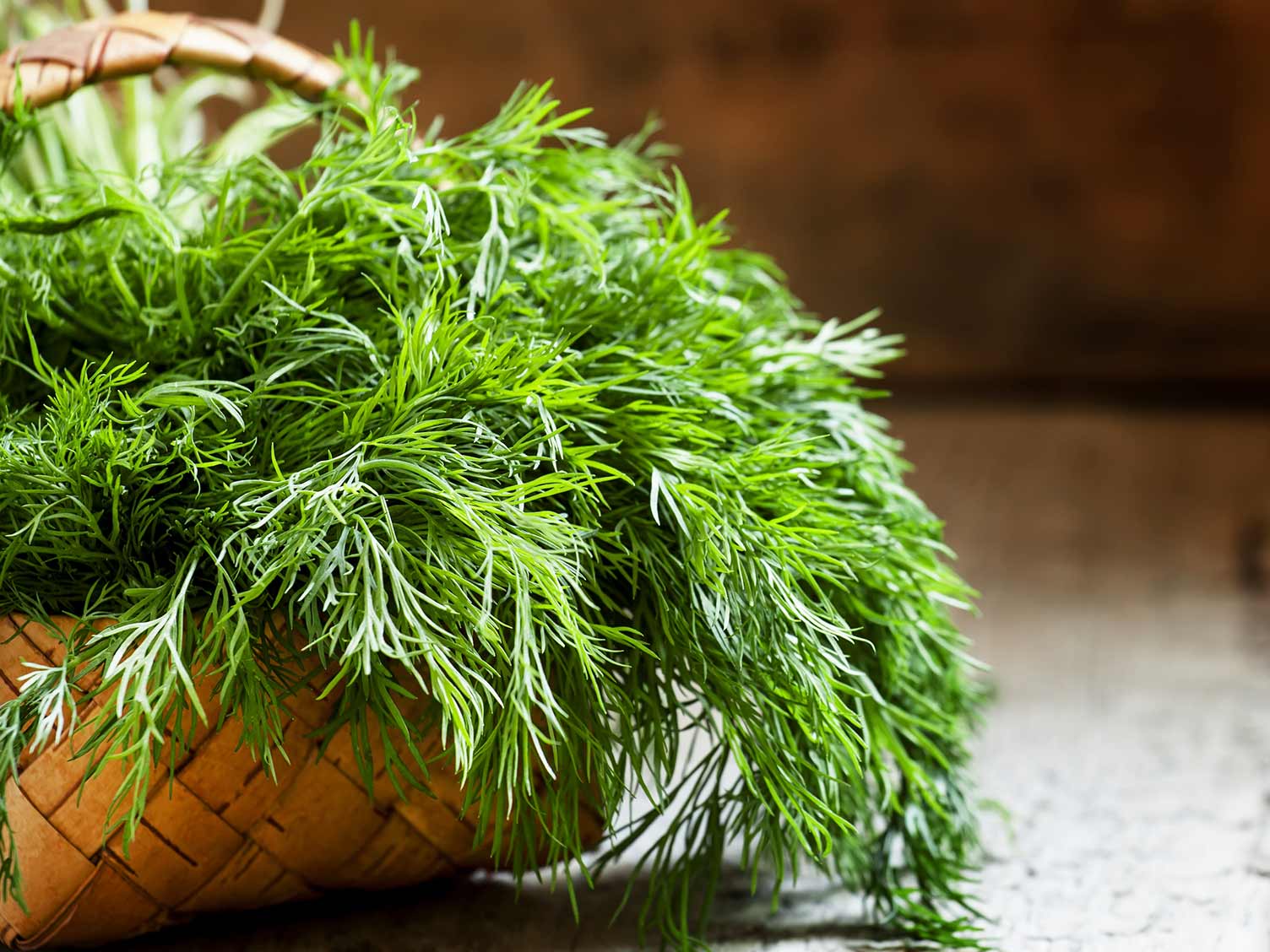 How To Store Fresh Dill Long Term