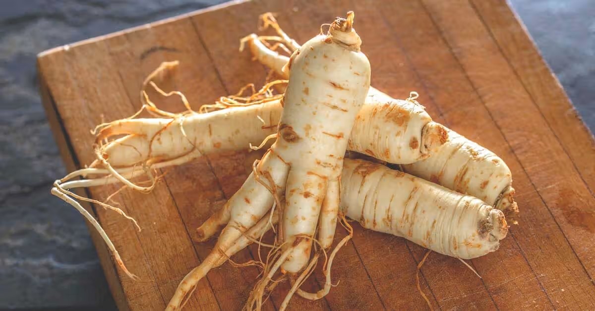How To Store Fresh Ginseng Root