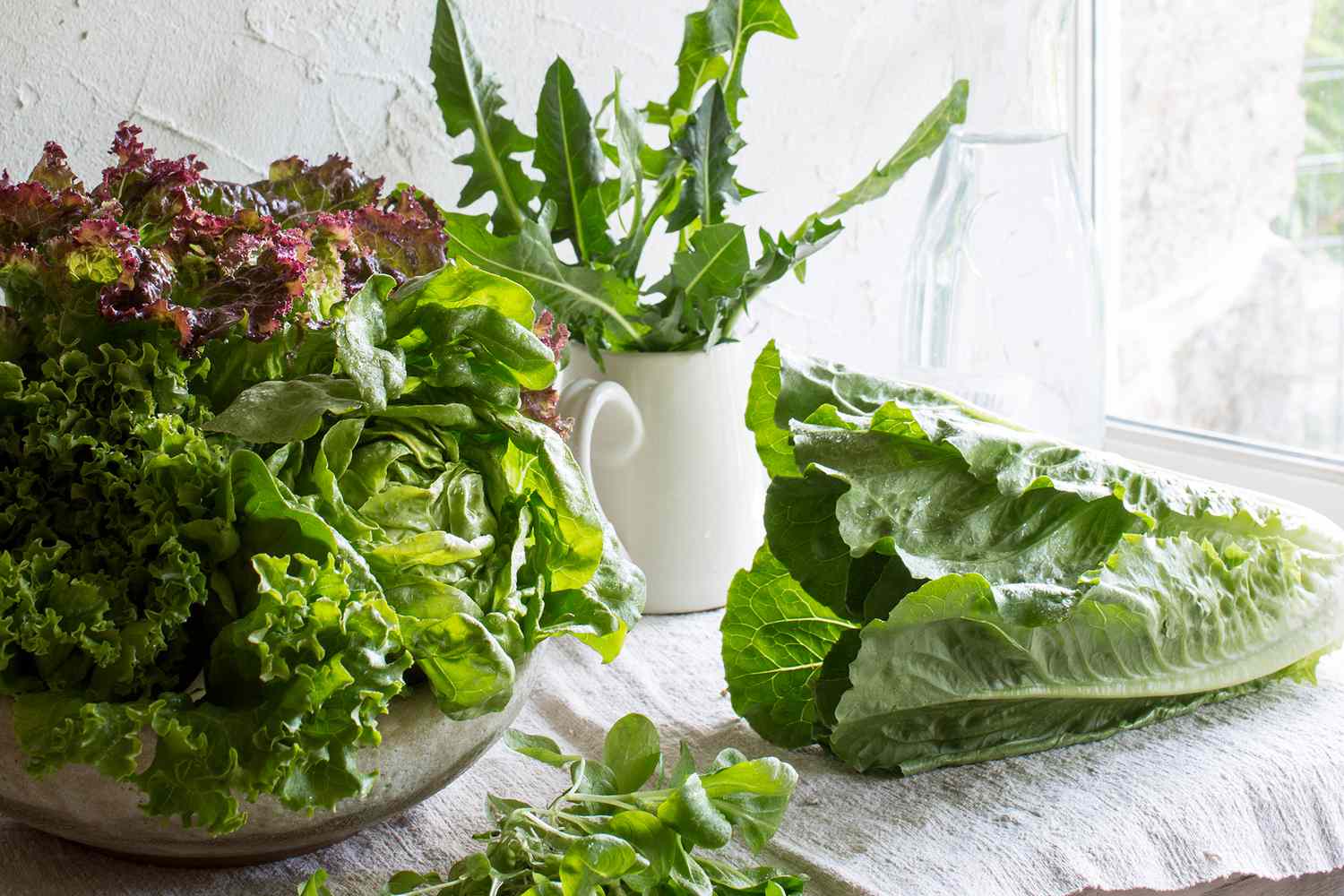 How To Store Fresh Greens
