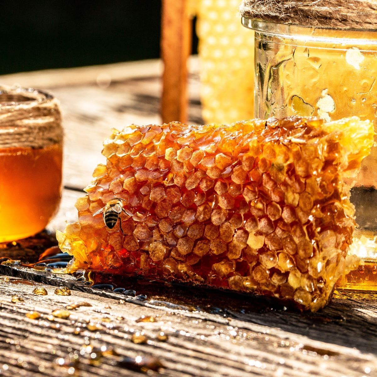 How To Store Fresh Honeycomb