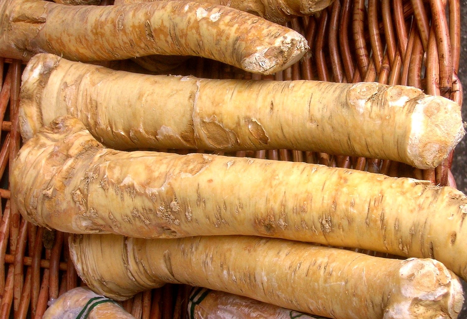 How To Store Fresh Horseradish