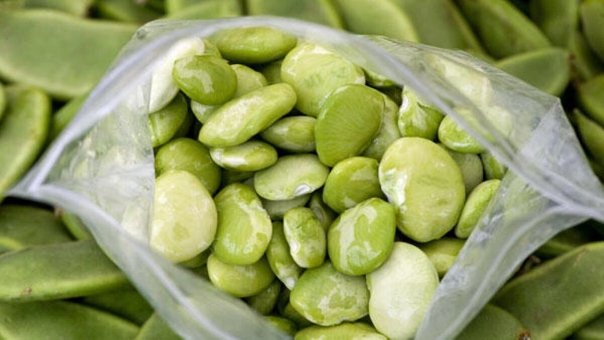 How To Store Fresh Lima Beans